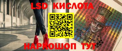 spice Гай