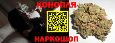ALPHA PVP Гатчина