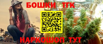 spice Гай