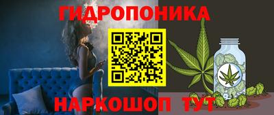 spice Гай