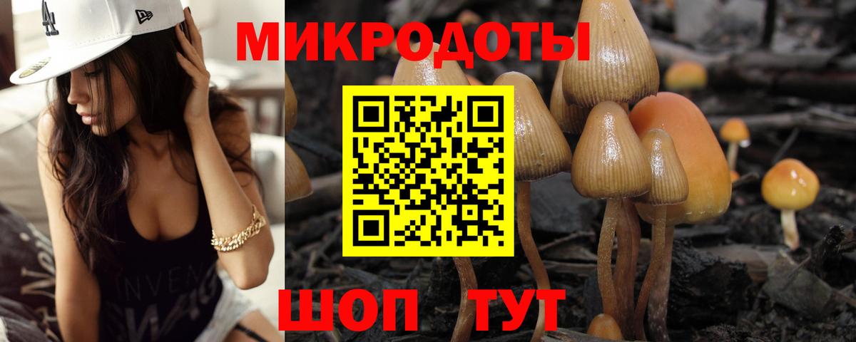 Галлюциногенные грибы мухоморы Новошахтинск